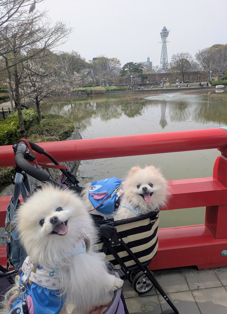 Lefrancルフラン tweet media