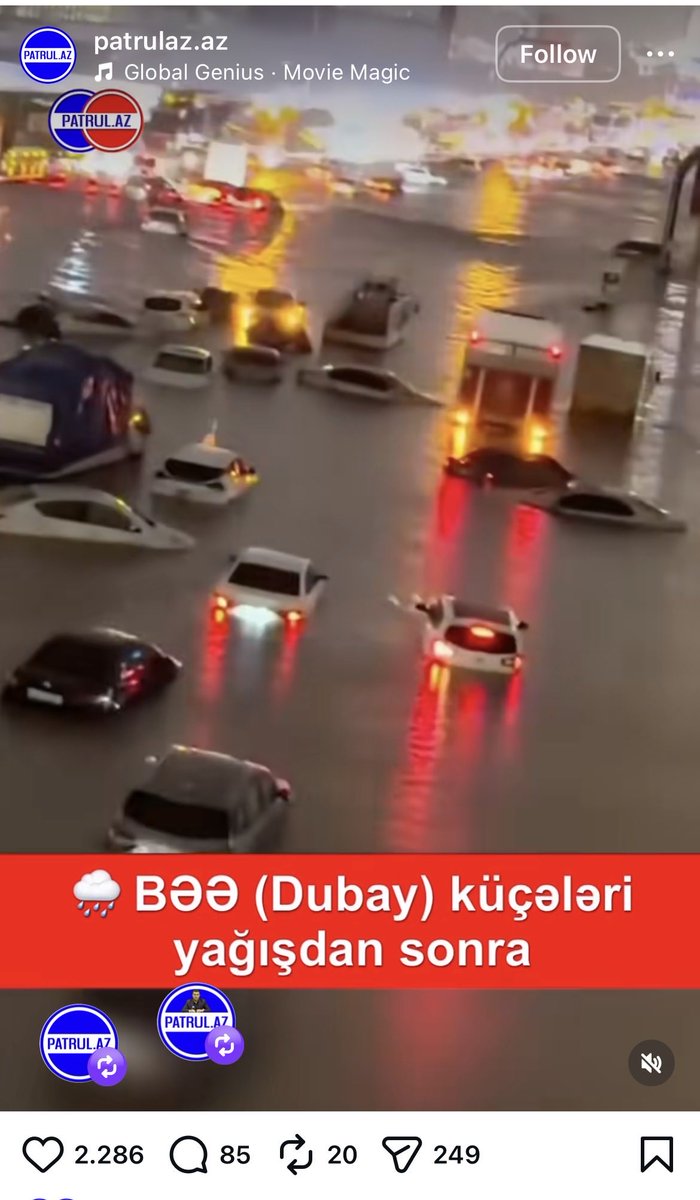 Borge ⚖️ tweet media