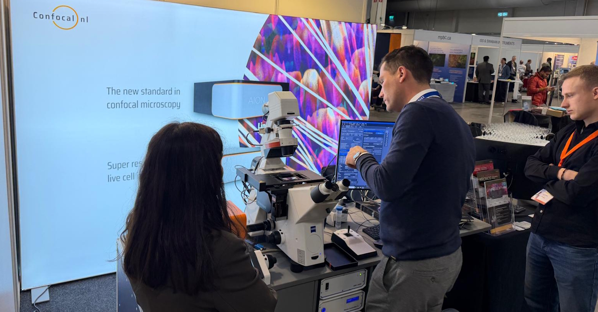 Confocal NL tweet media