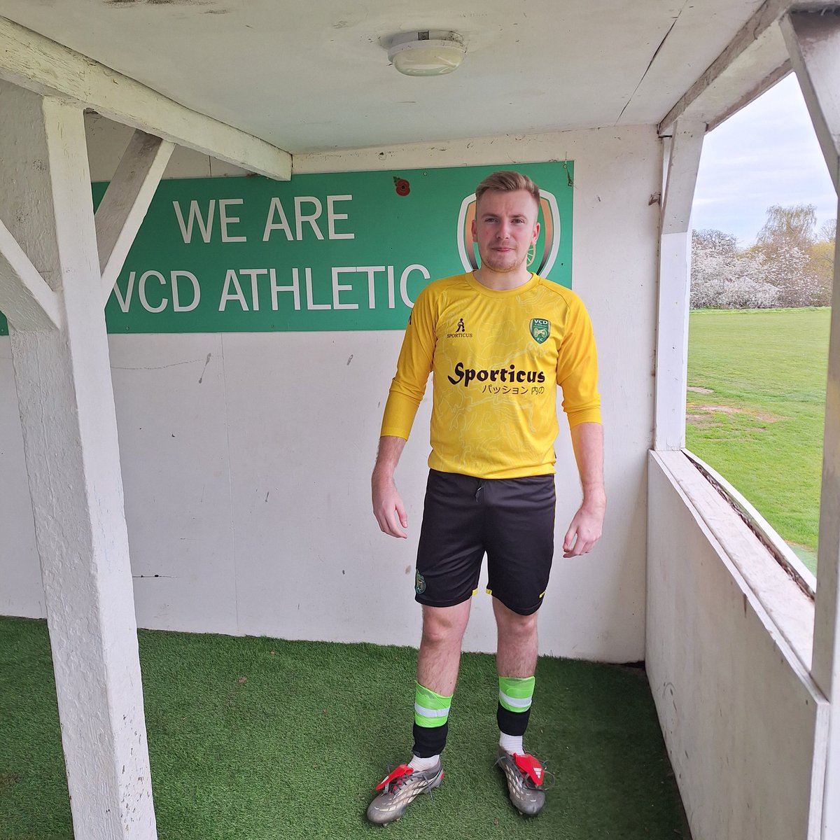 Forza VCD tweet media