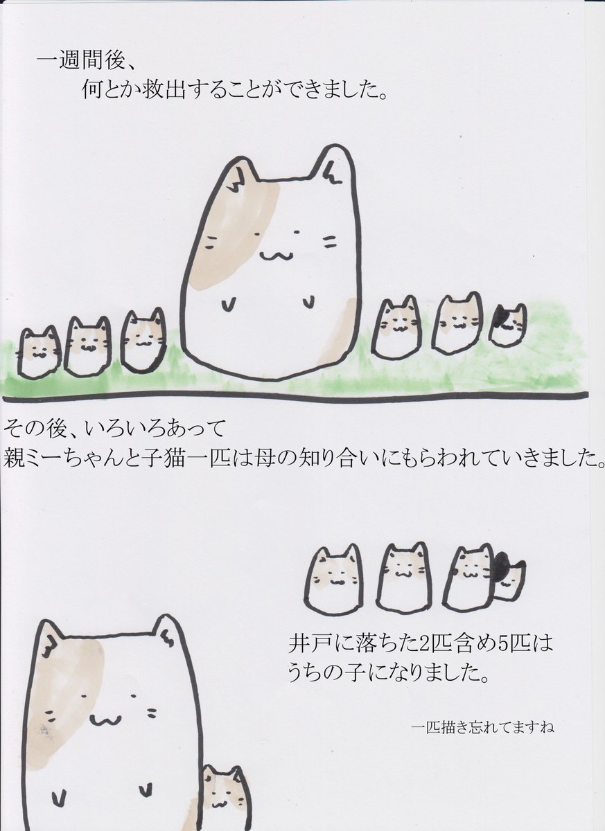 親ミーちゃん一家のおはなし