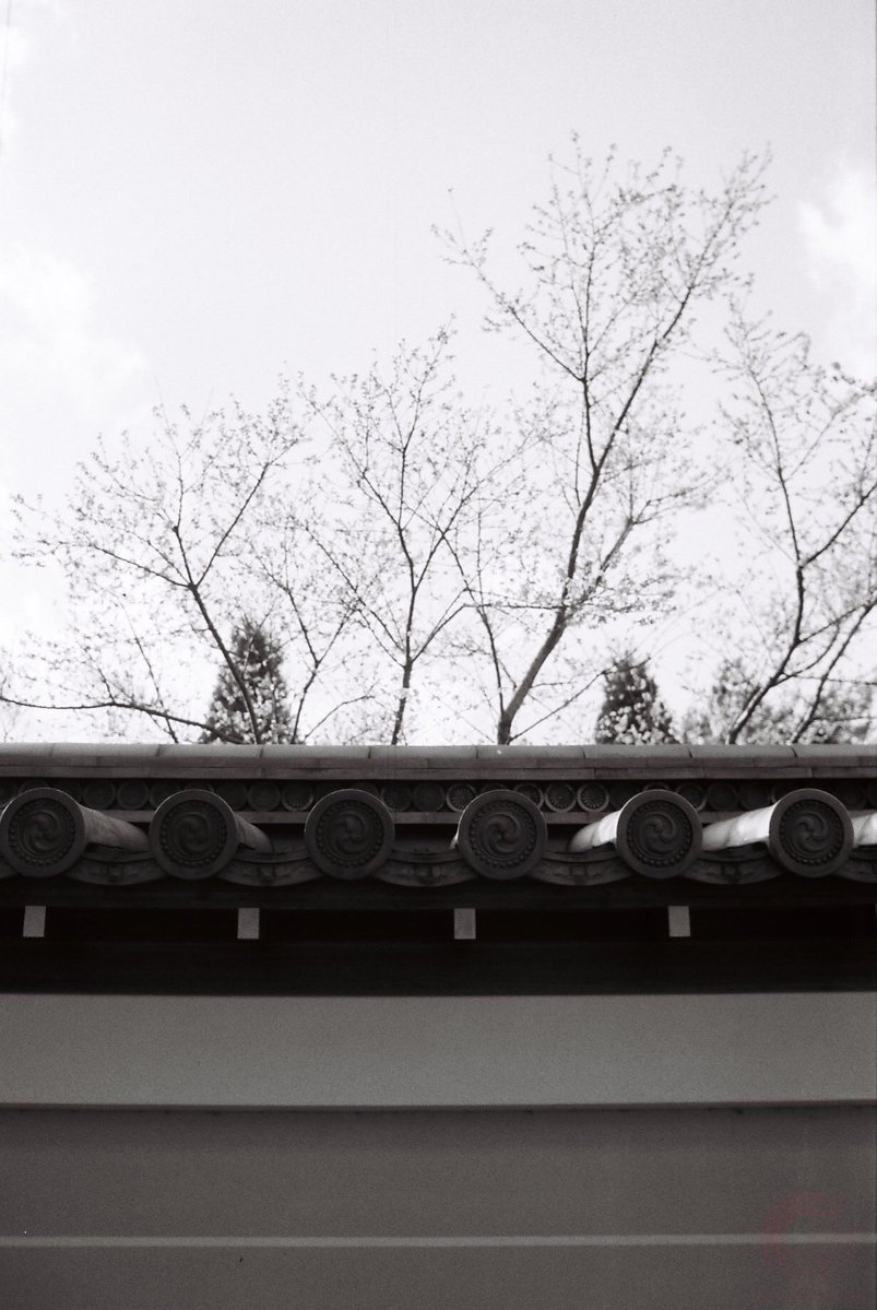 Nyagon (film photography lover) tweet media