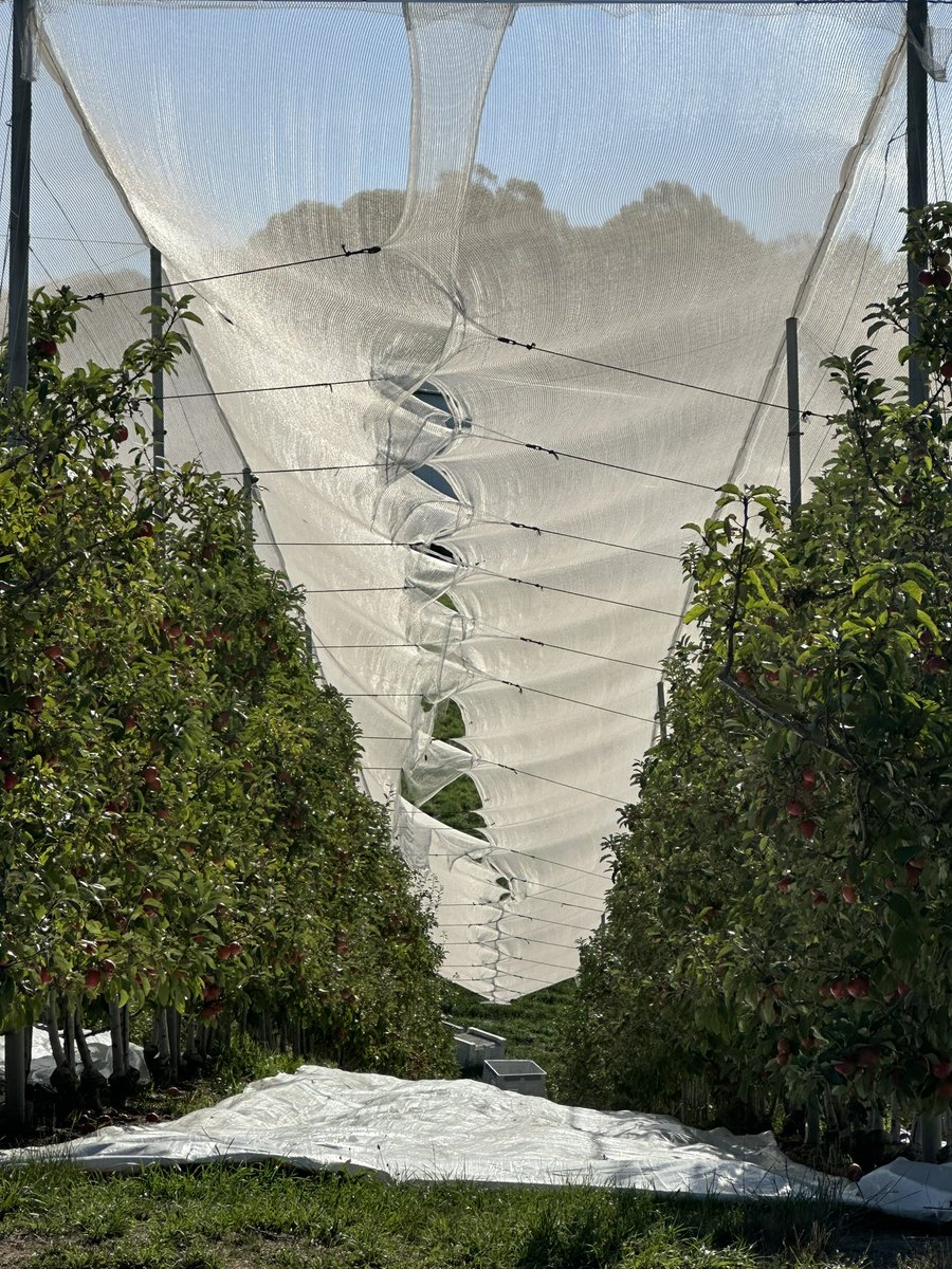 James Sexton tweet media