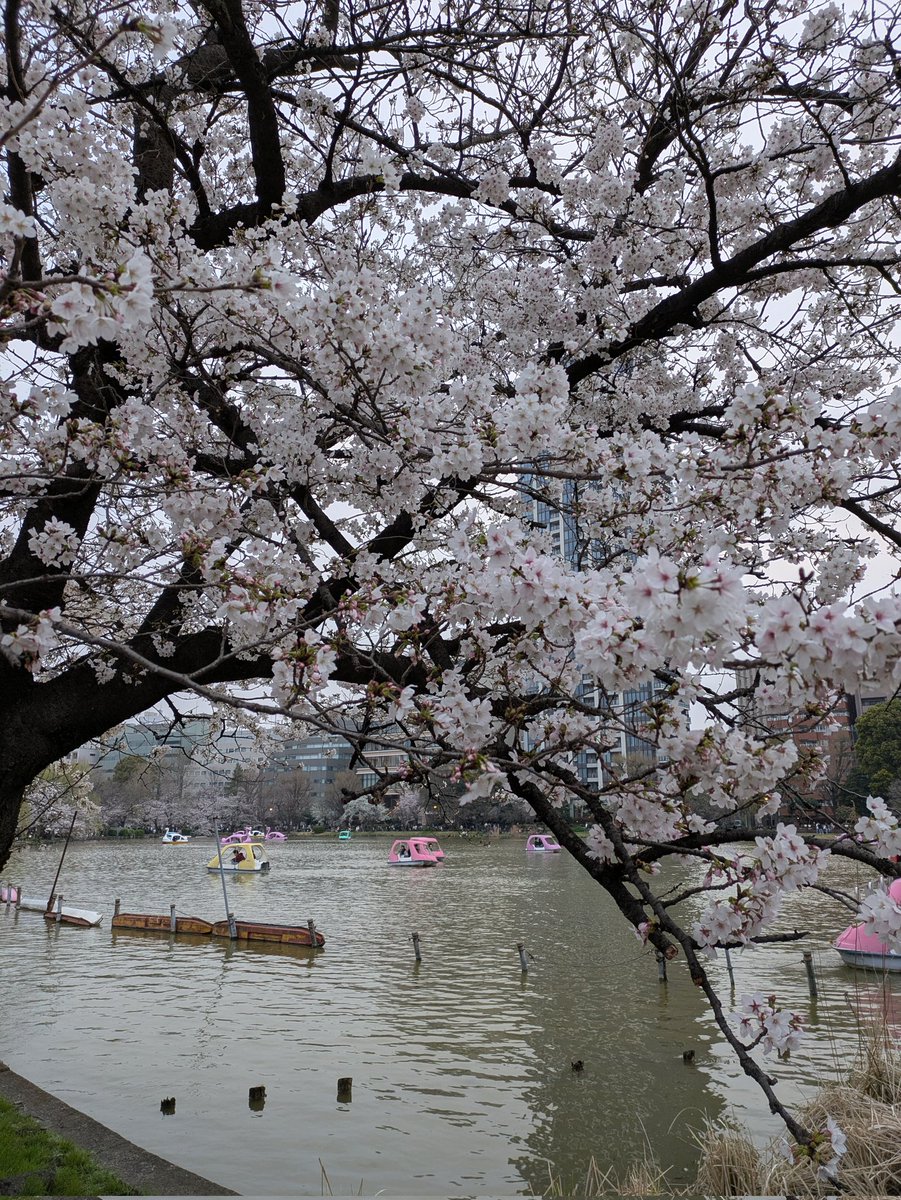 🎵小さな風🎵 tweet media