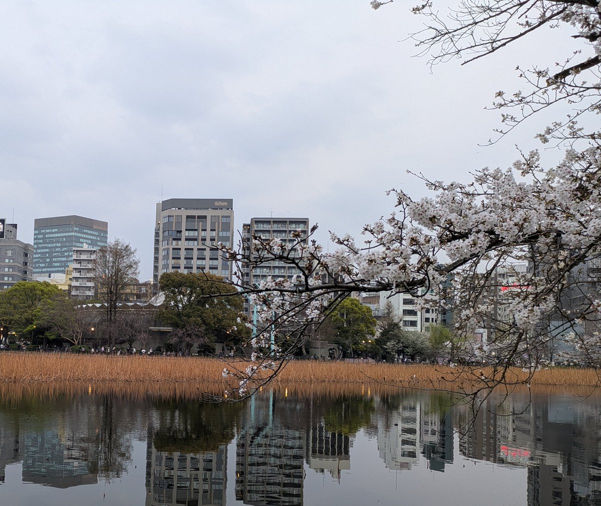 🎵小さな風🎵 tweet media