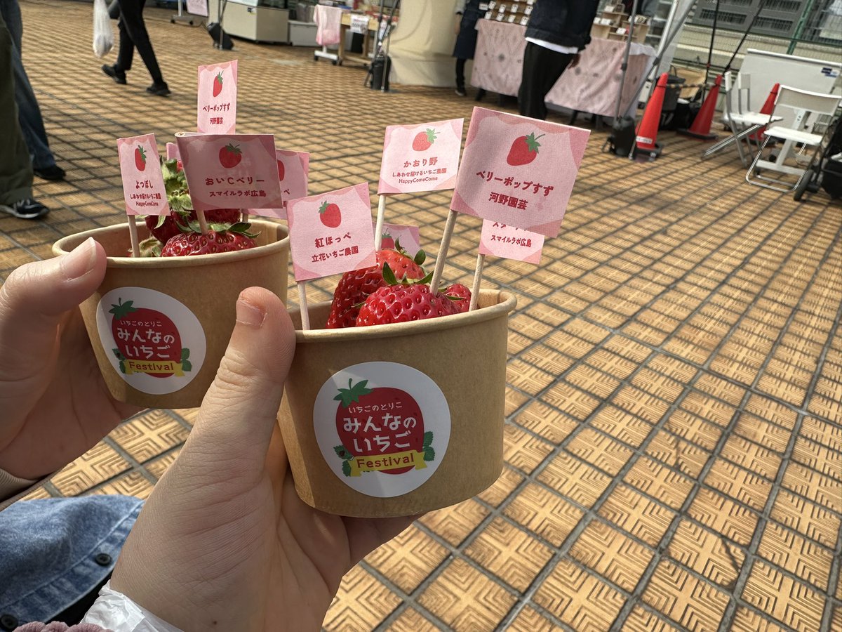 紺野ノンコ🌻 tweet media