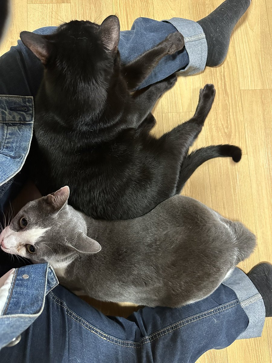 紺野ノンコ🌻 tweet media