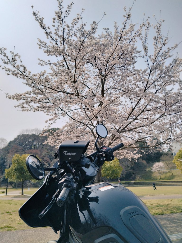 コツリノ tweet media