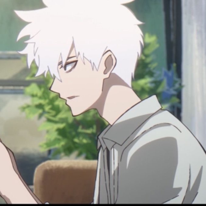 shau🍯 tweet media