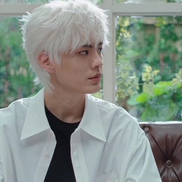 shau🍯 tweet media