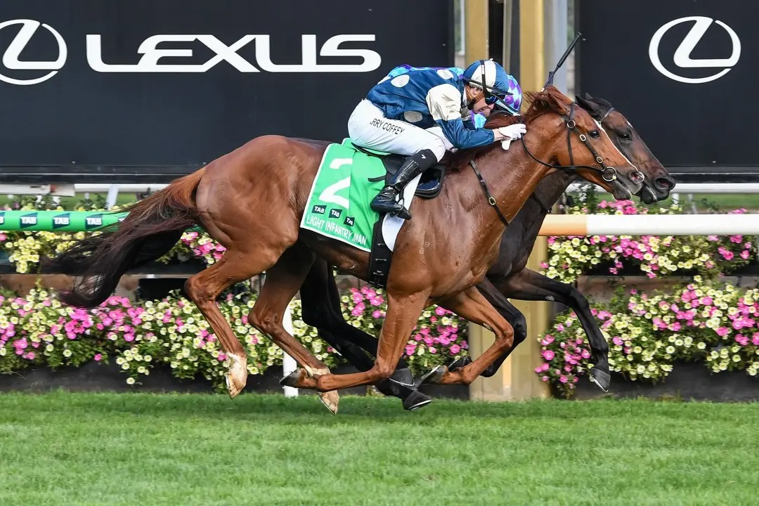 Turf Deli tweet media