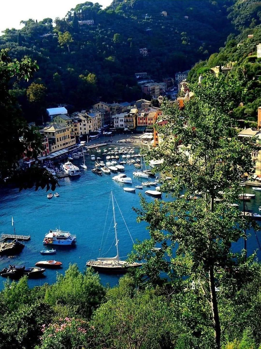 Amico fragile tweet media