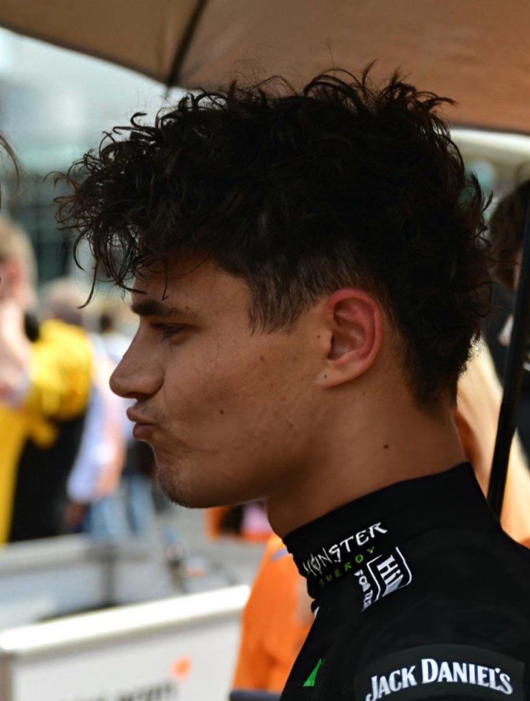 tt ⁴⁸¹ 🐨 tweet media