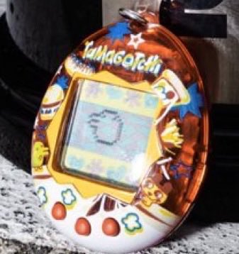 tt ⁴⁸¹ 🐨 tweet media