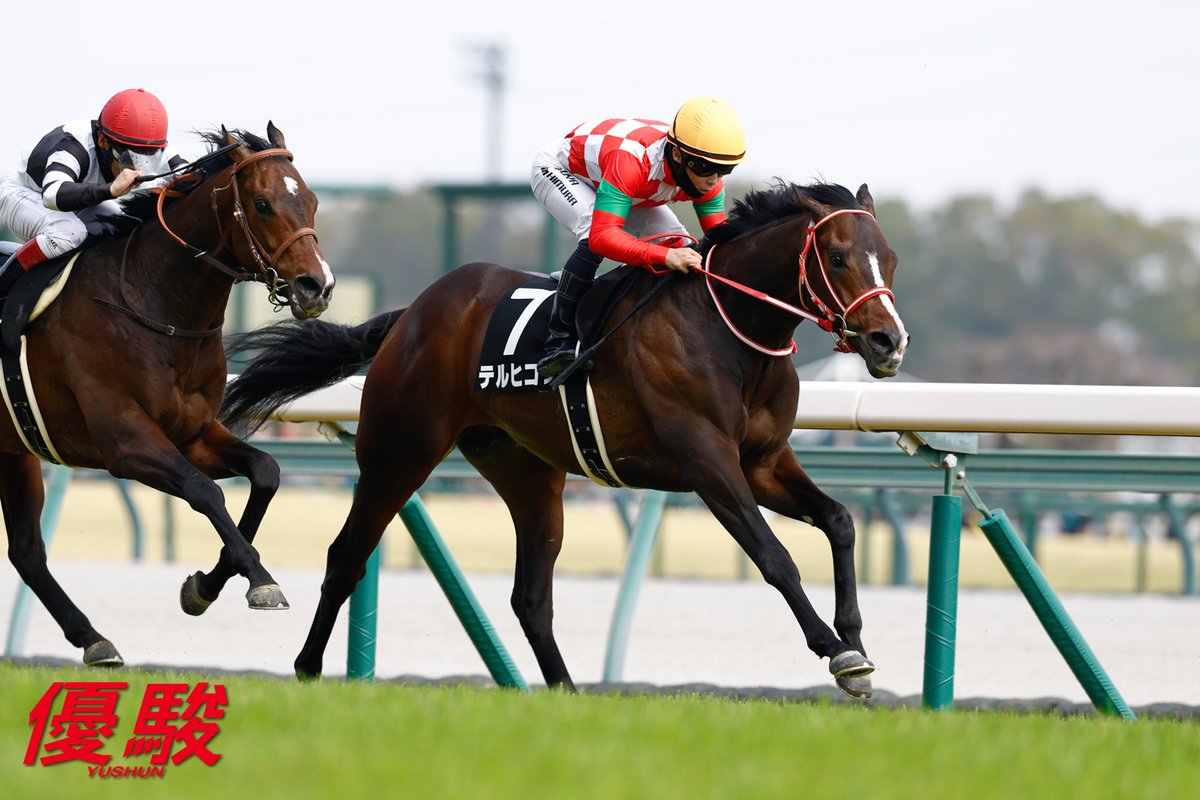 『優駿』編集部 tweet media