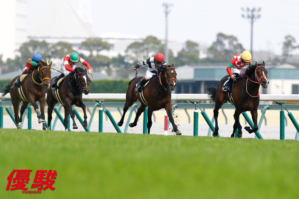 『優駿』編集部 tweet media