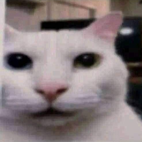 scarlet milk tweet media