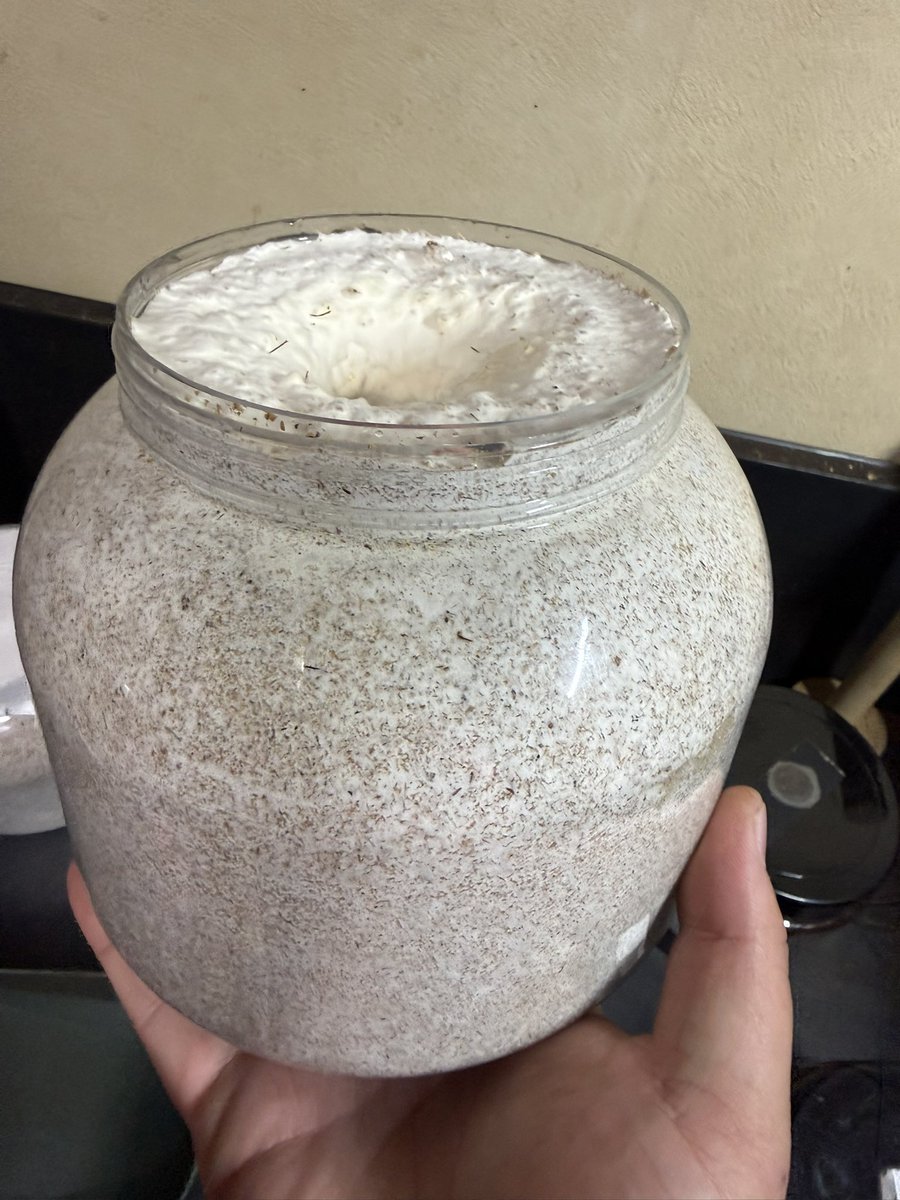 はやと@U'farm tweet media