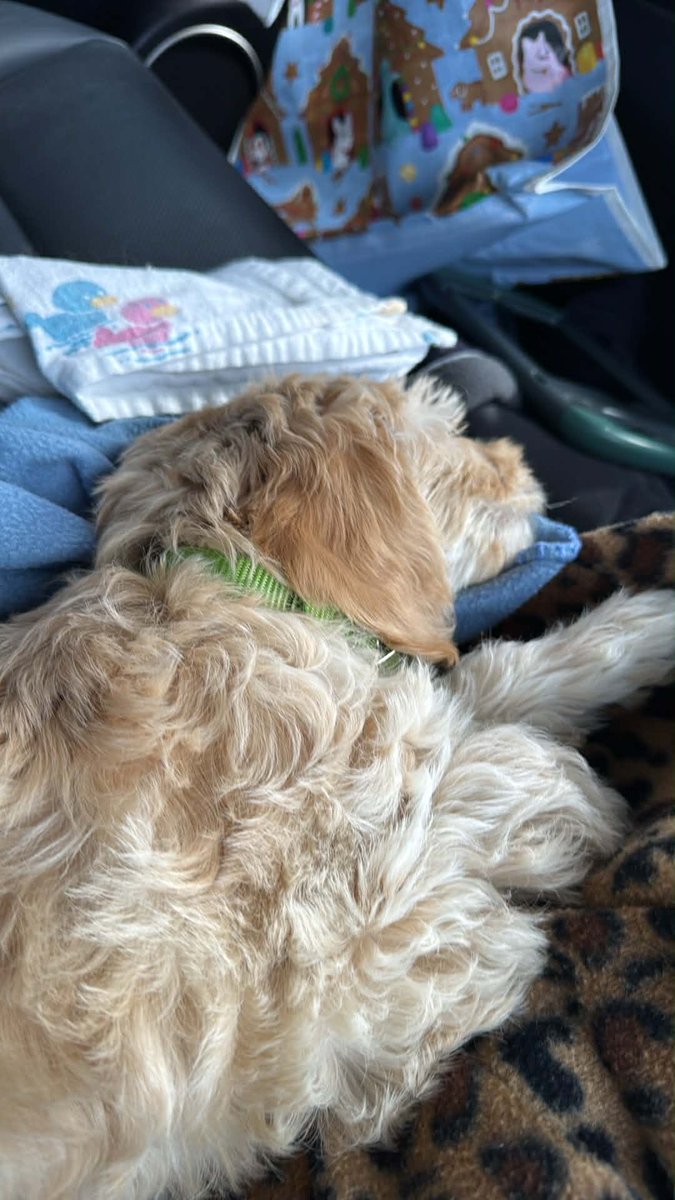 Jeffrey A tweet media