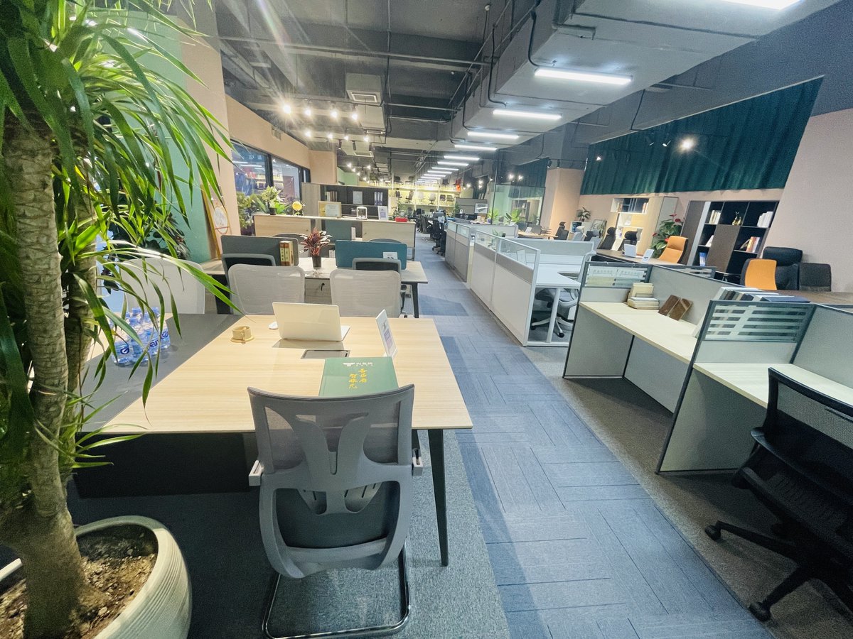 Patii. D. tweet media