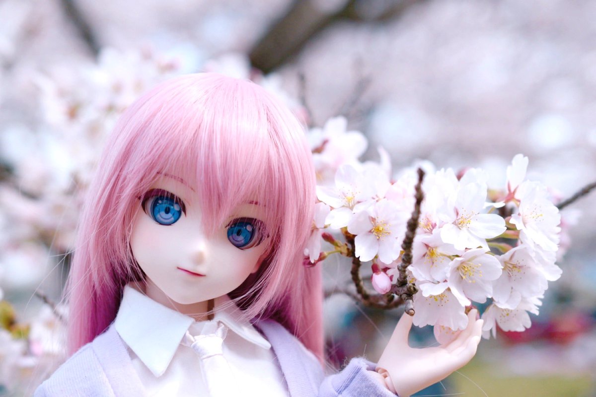 ちゃとわ tweet media