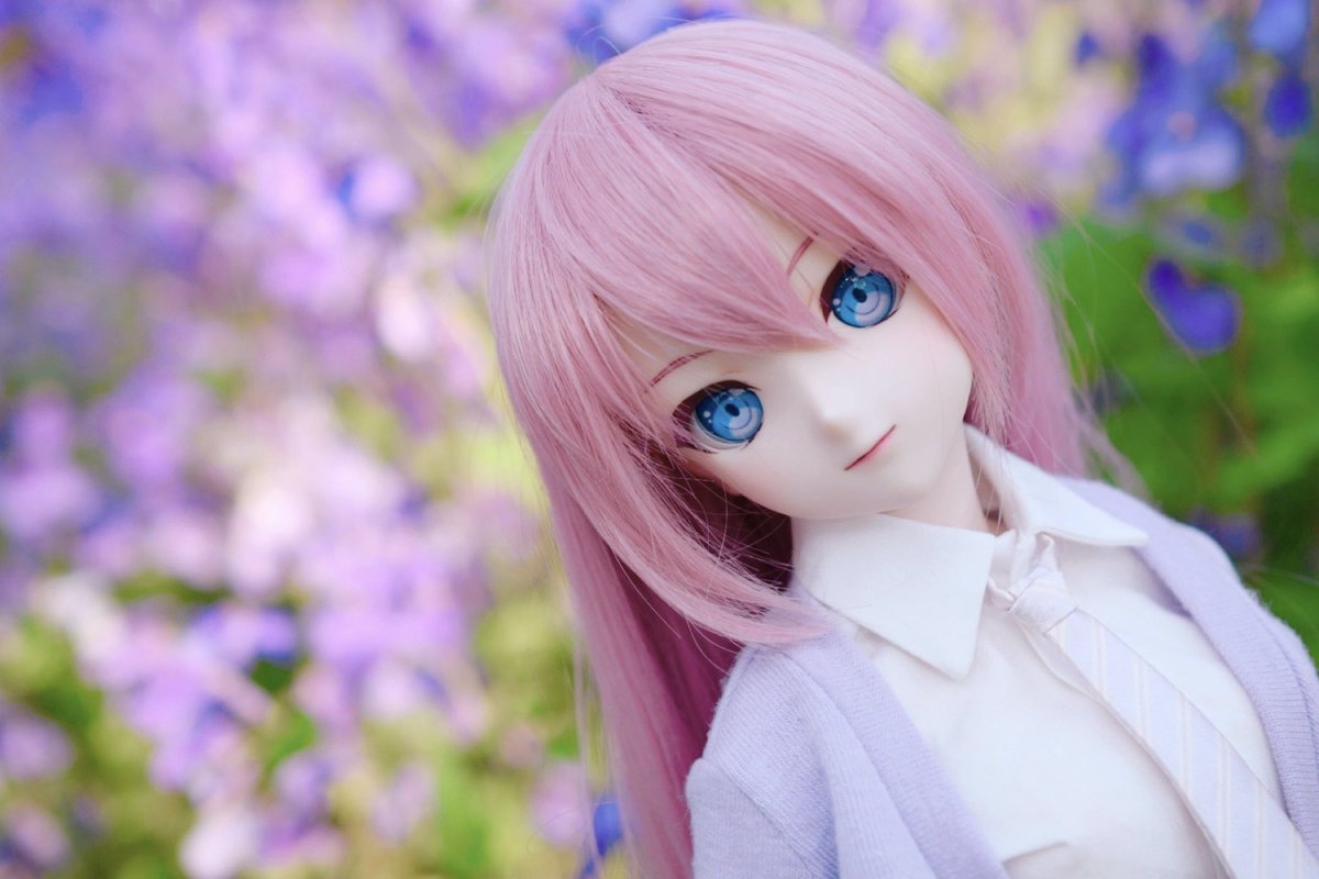 ちゃとわ tweet media