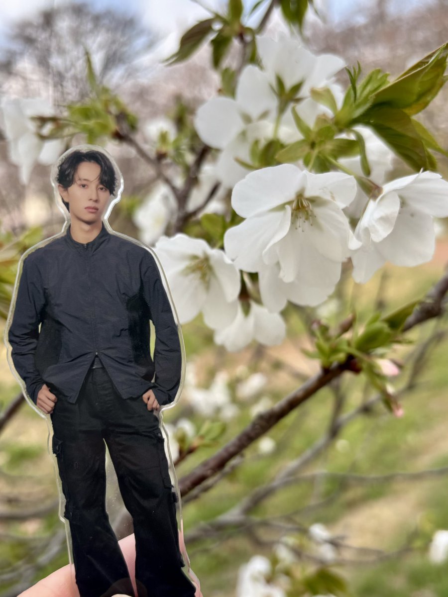 まるちゃん tweet media