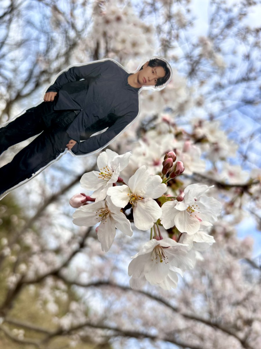 まるちゃん tweet media