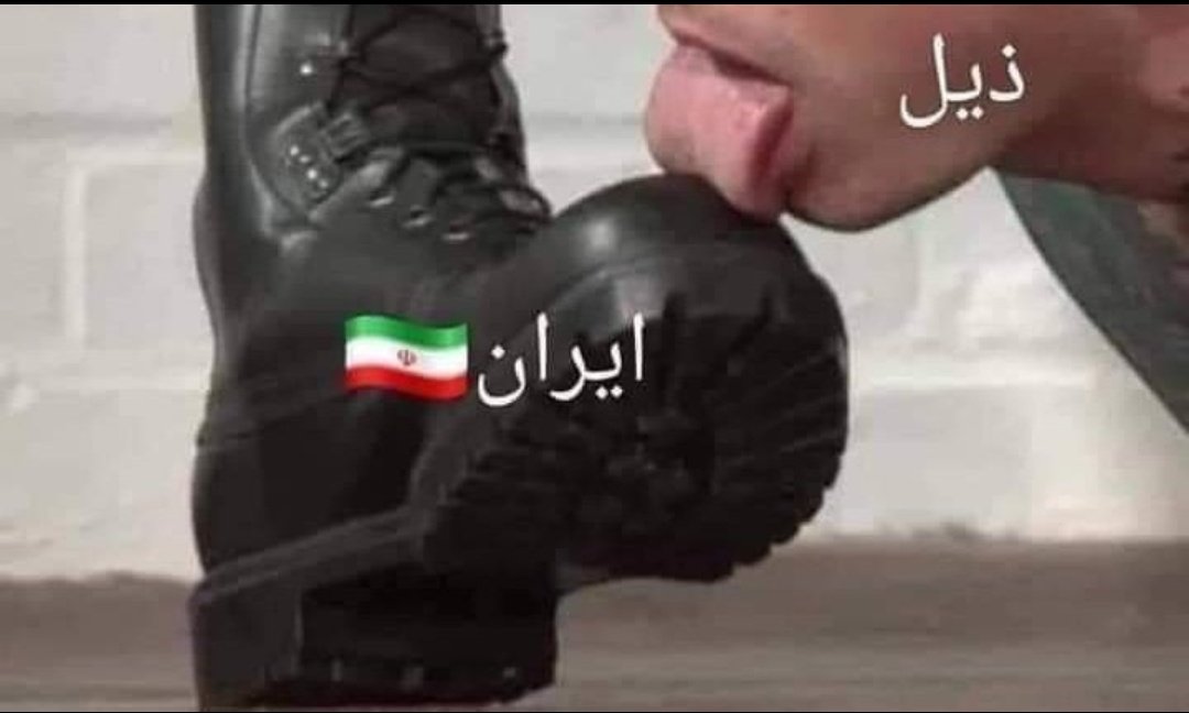 خالد الشاهين tweet media