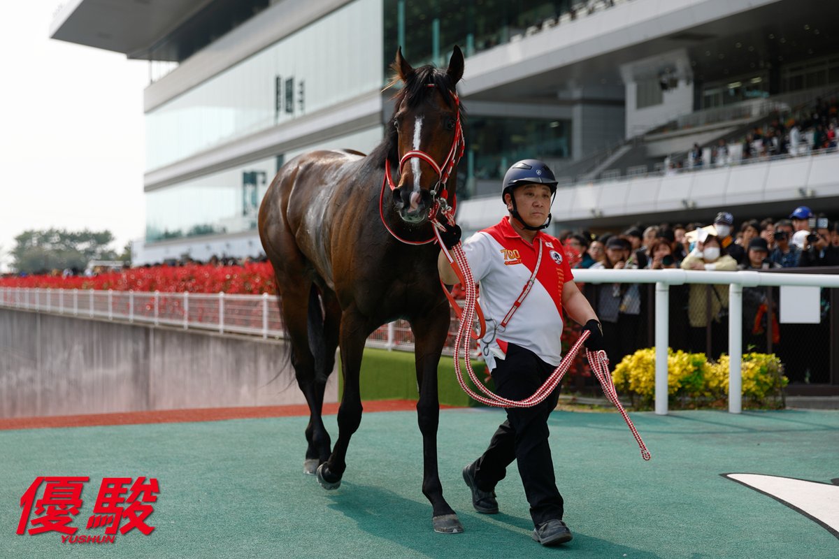 『優駿』編集部 tweet media