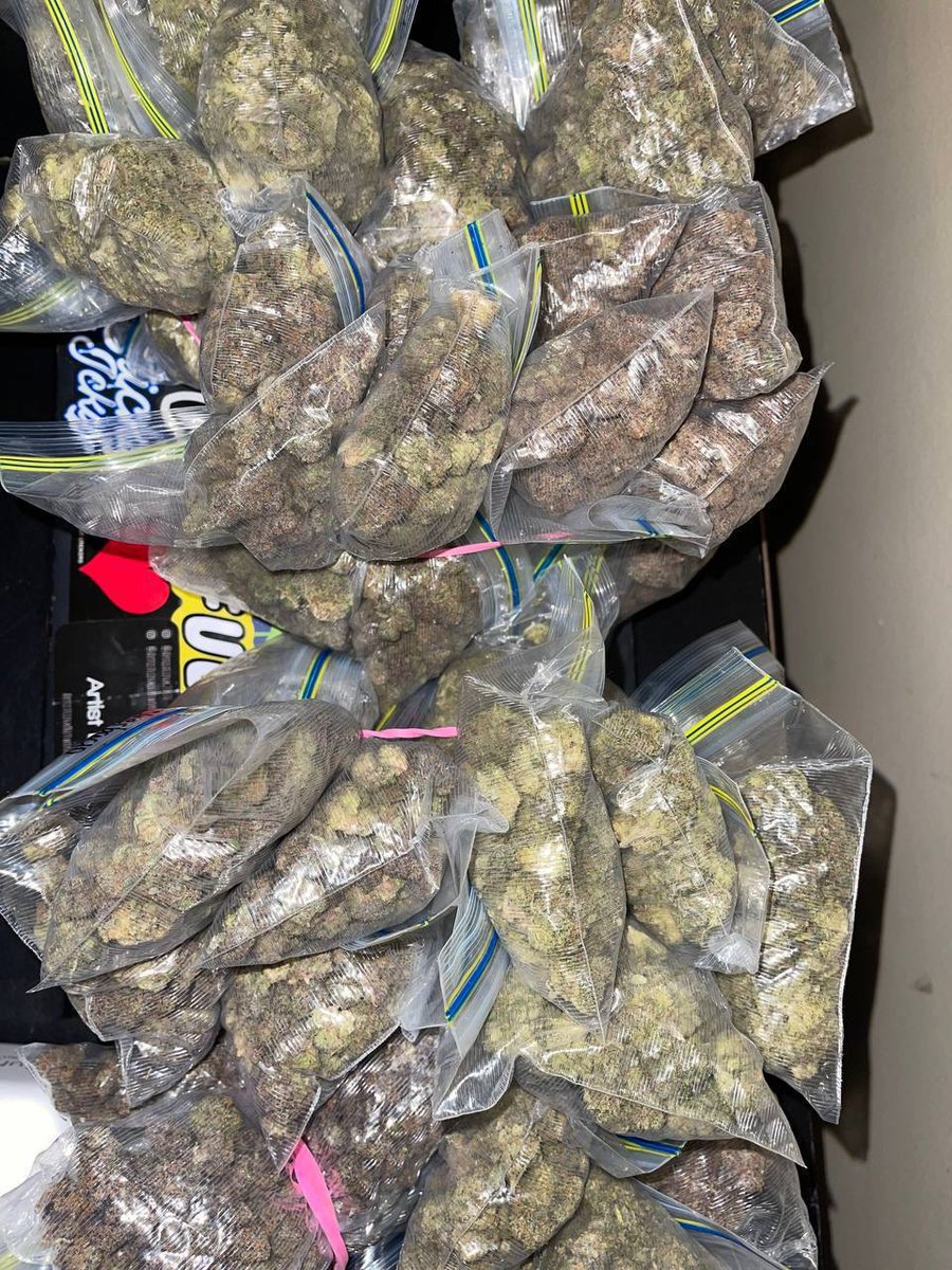sincity seeds tweet media