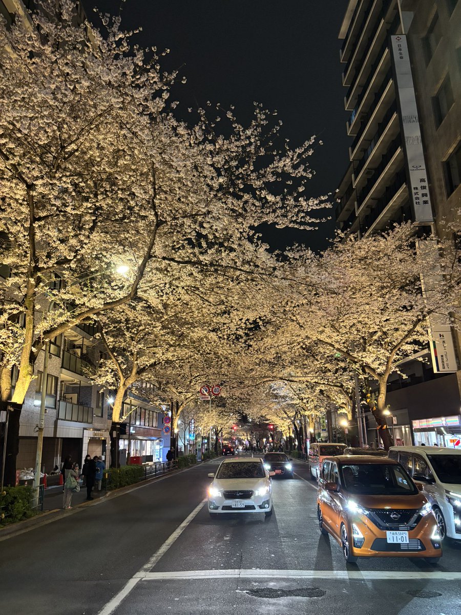 アップリケ/あぷ tweet media