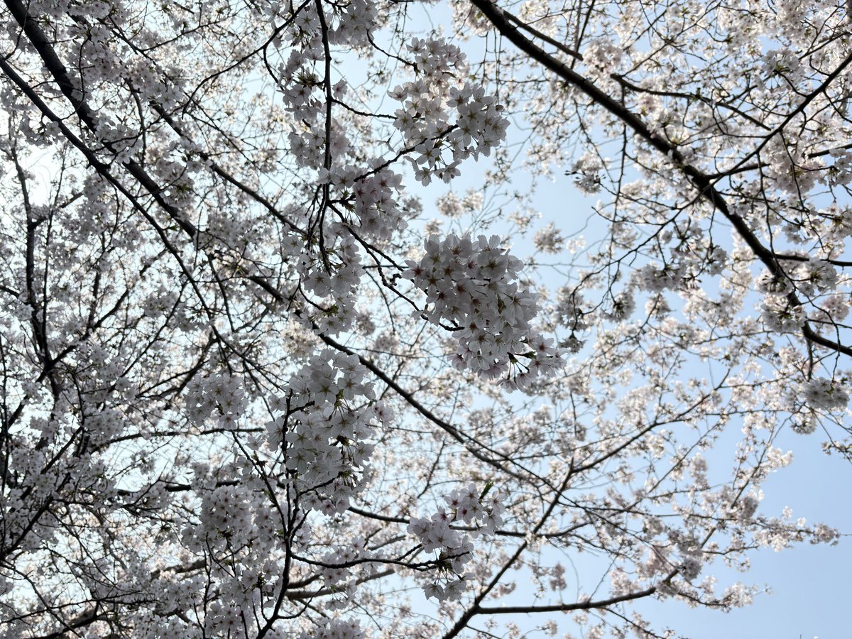 らいむ tweet media