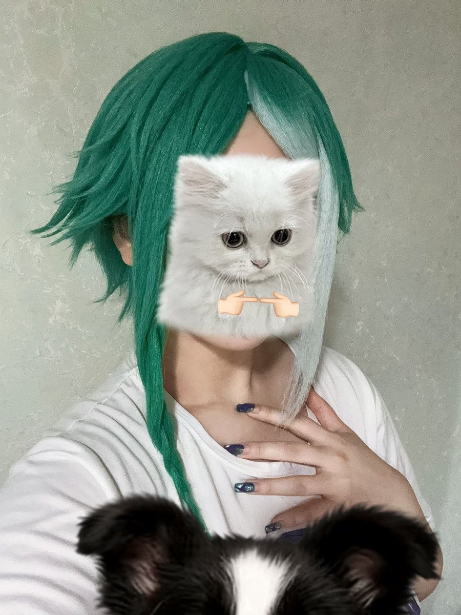 ネルねるね tweet media