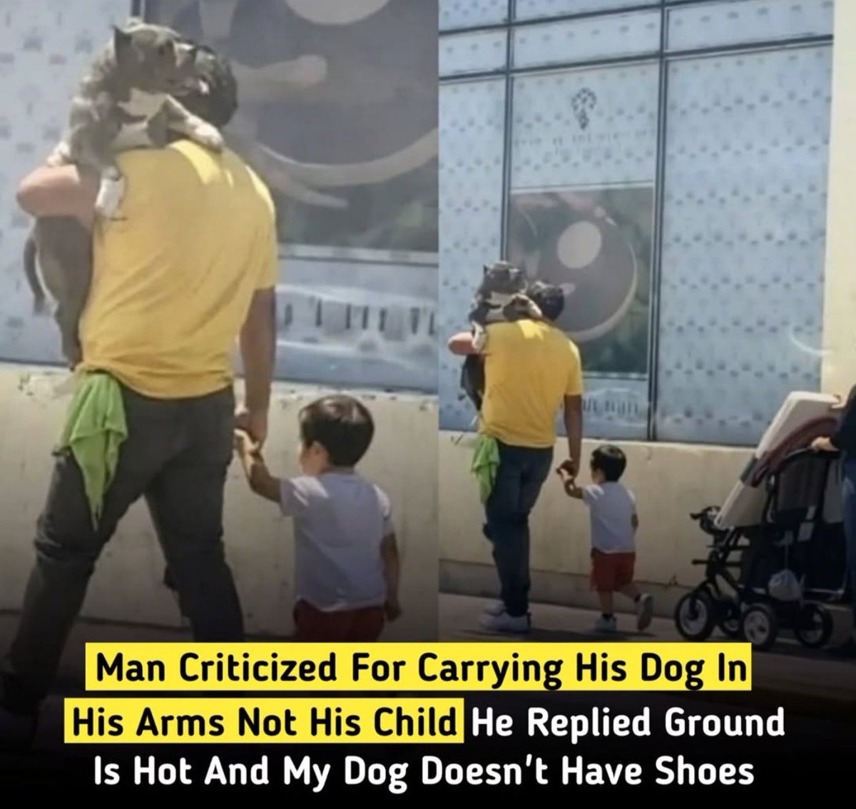 Prof cheems ॐ tweet media