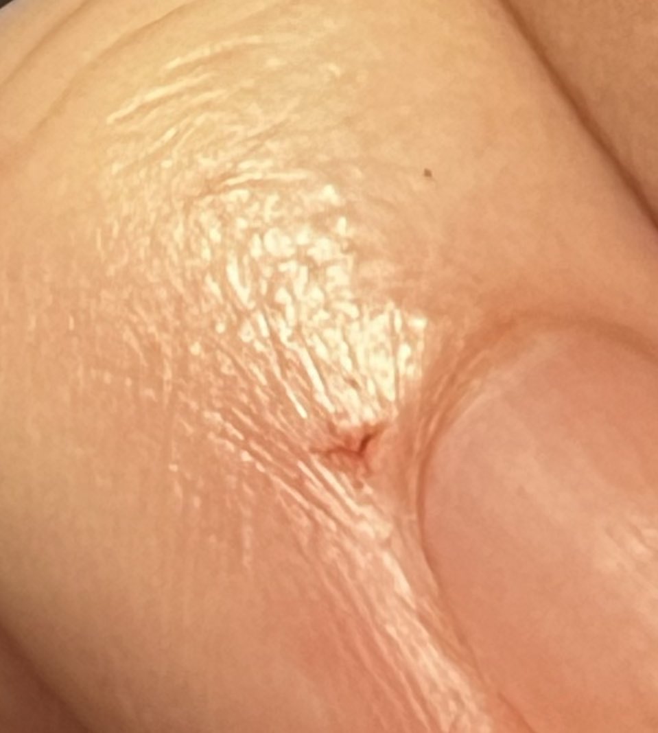 Y.B.B.B.K.P.C(基本ベイブレード,ボトルマン,ビーダマン,カブトボーグ,ポケモン用垢) tweet media