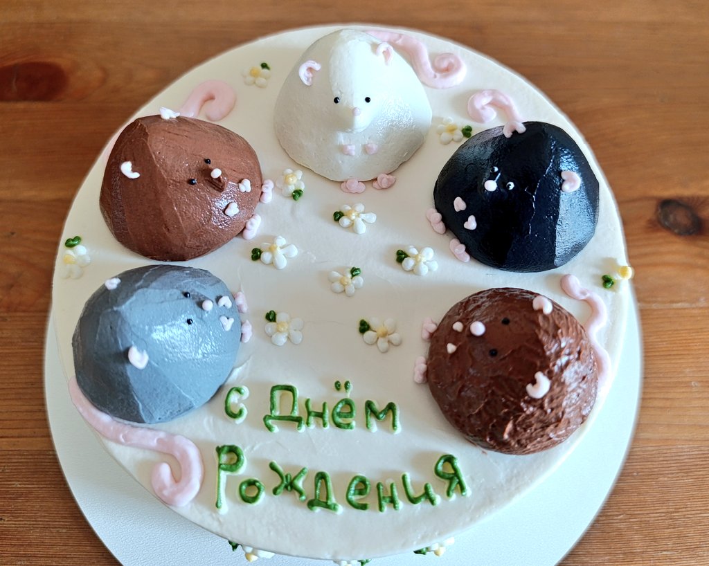 Программистесса tweet media