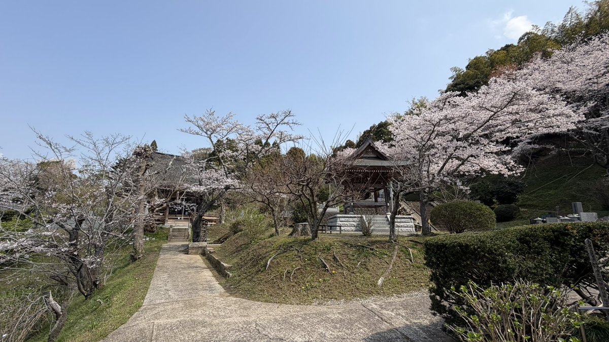 大根うさぎ tweet media