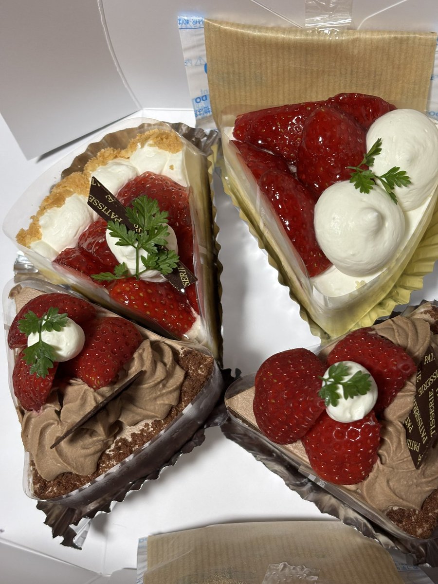 🏀ゆうしん⚾️⚽️神戸ストークス3/28.29 tweet media