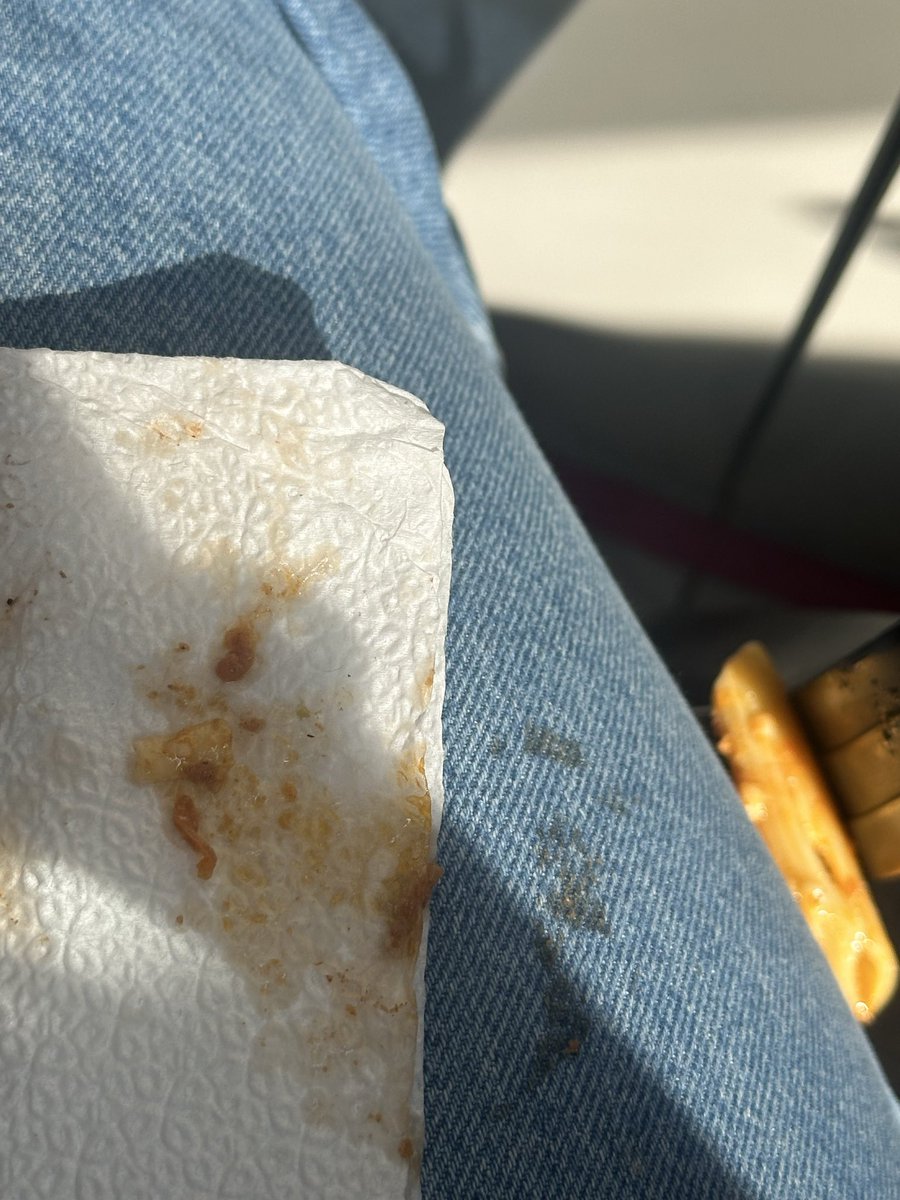 Darya 🦢 tweet media