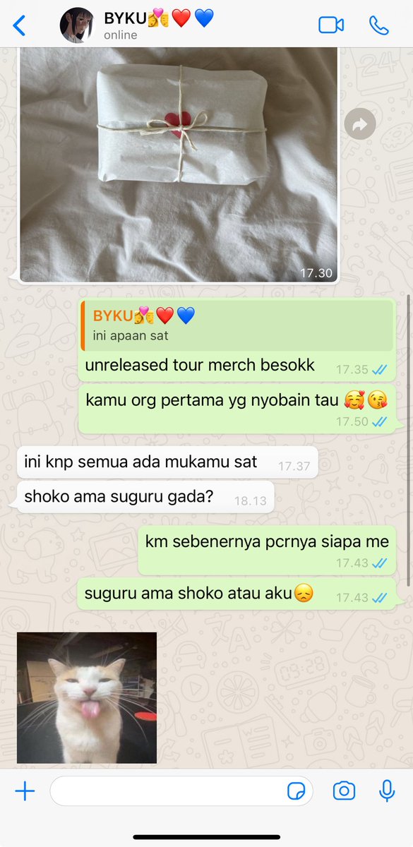 kallie 🥢 #TIMSESGOJOHIME tweet media