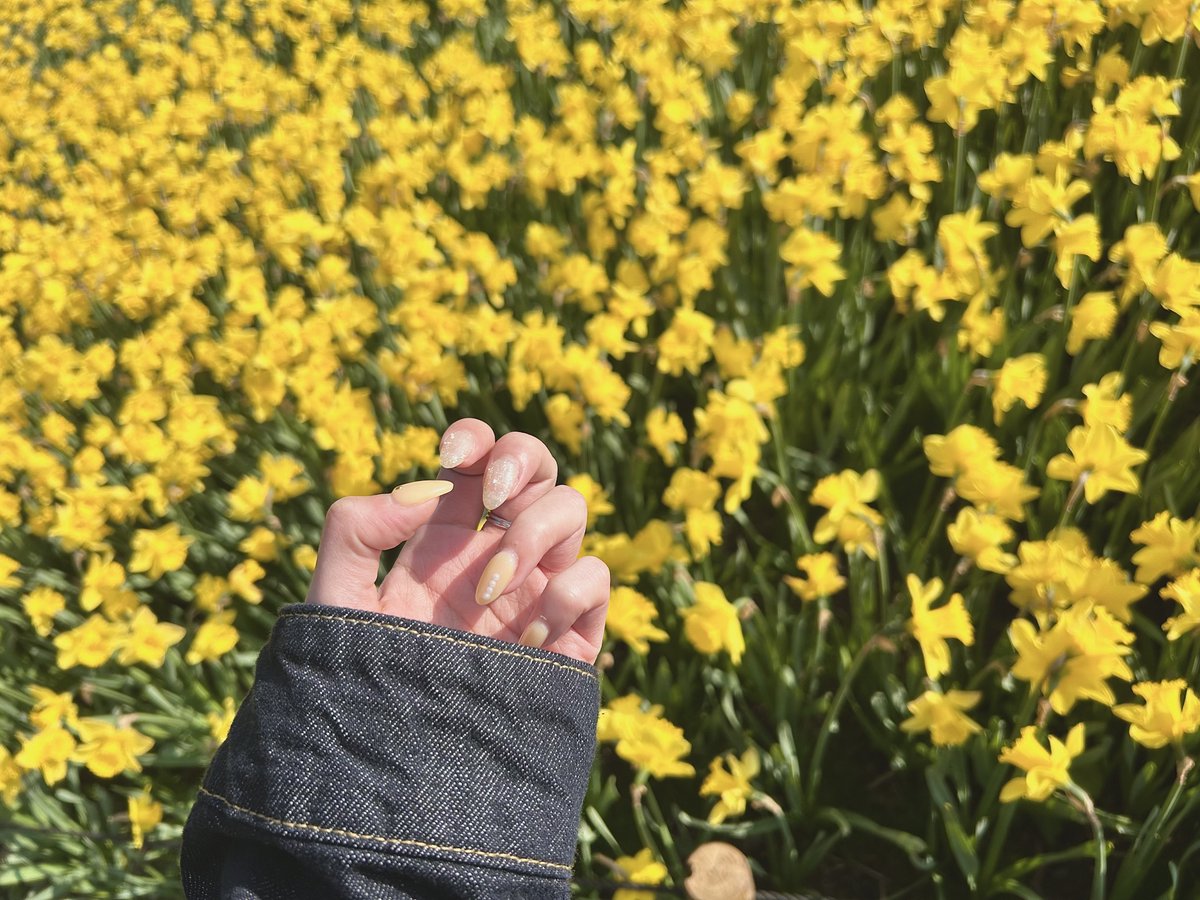 のすけ tweet media