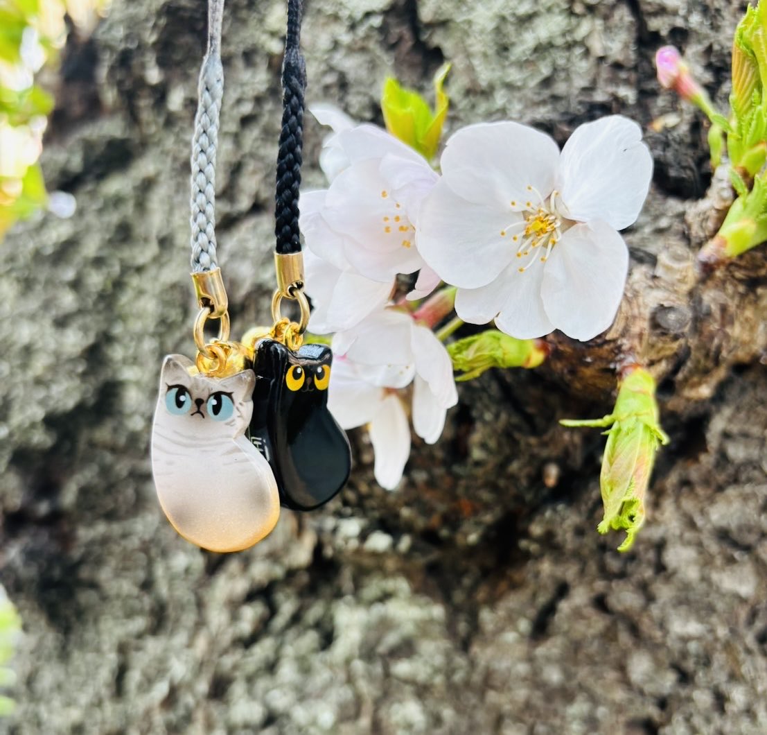 chiekorocherry's tweet photo. 春ですね〜☺️🌸

次男はこの春から独り暮らしになります。　

引越し先でちょうど桜祭りがやっていたので歩いていたら、可愛い猫のストラップに出会いました❀
お守り代わりにふたつ買って、次男に渡しました☺️
メルちゃんとクロちゃんにそっくり💕

成長は嬉しいけど、さみしくなるな〜 https://t.co/Vr5pxPipPv