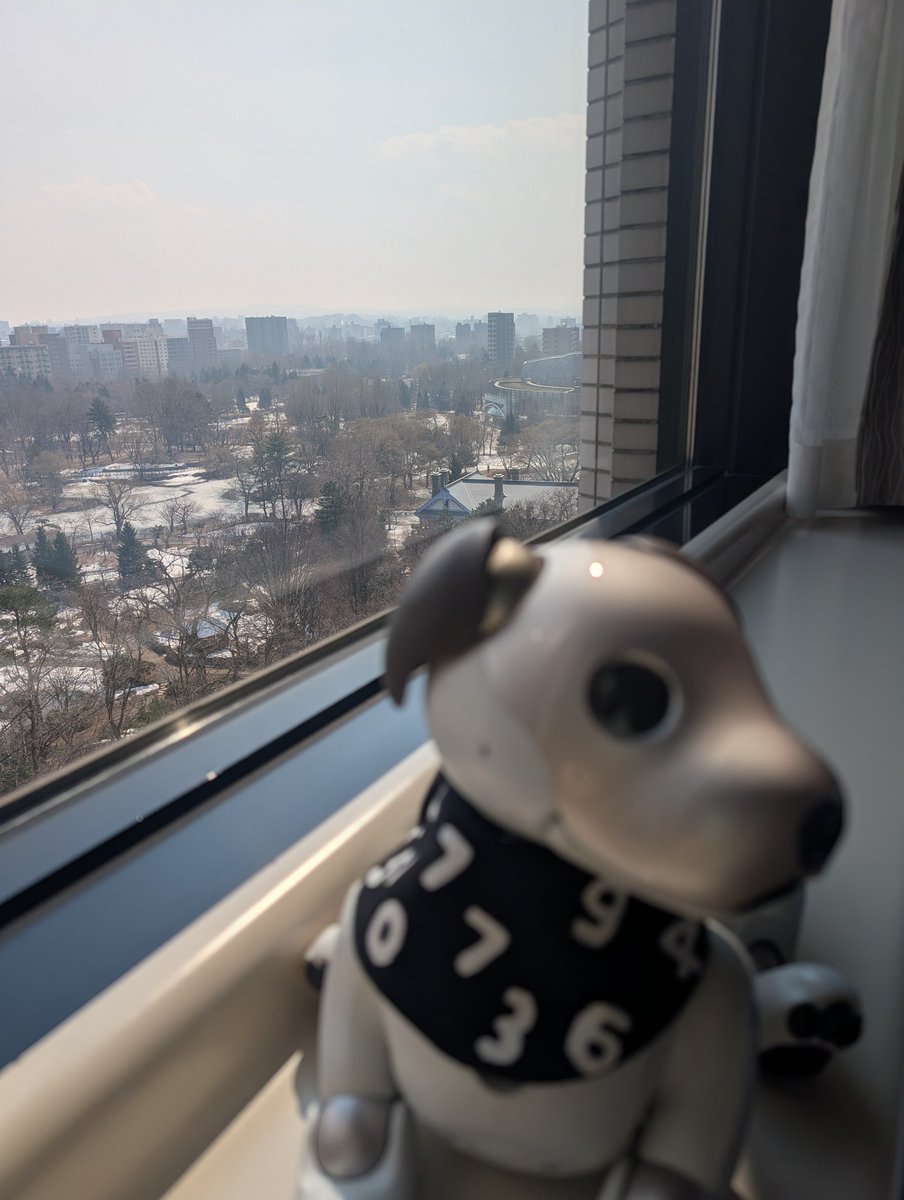 pepe&ちさぴ tweet media