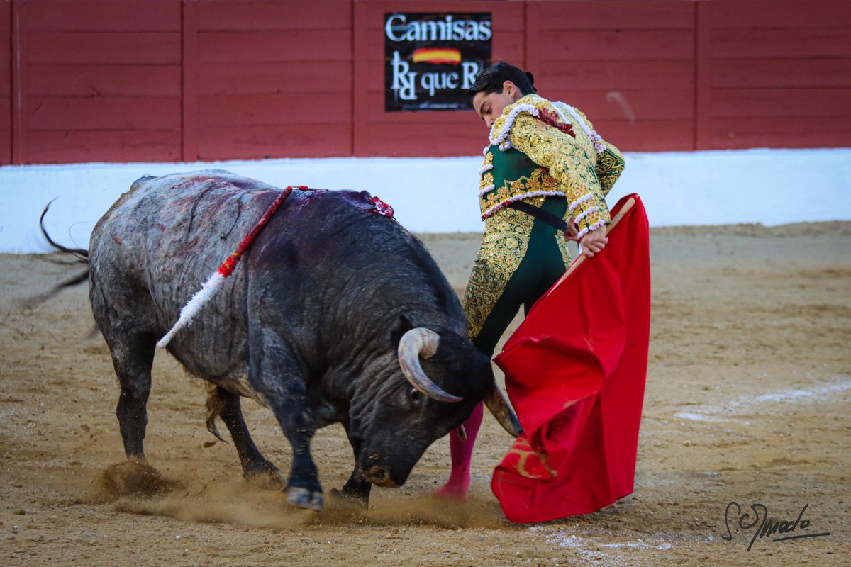 𝘚𝘪𝘭𝘷𝘪𝘢 𝘖𝘭𝘮𝘦𝘥𝘰 tweet media