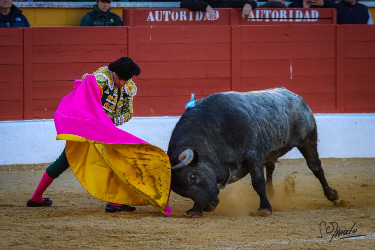 𝘚𝘪𝘭𝘷𝘪𝘢 𝘖𝘭𝘮𝘦𝘥𝘰 tweet media