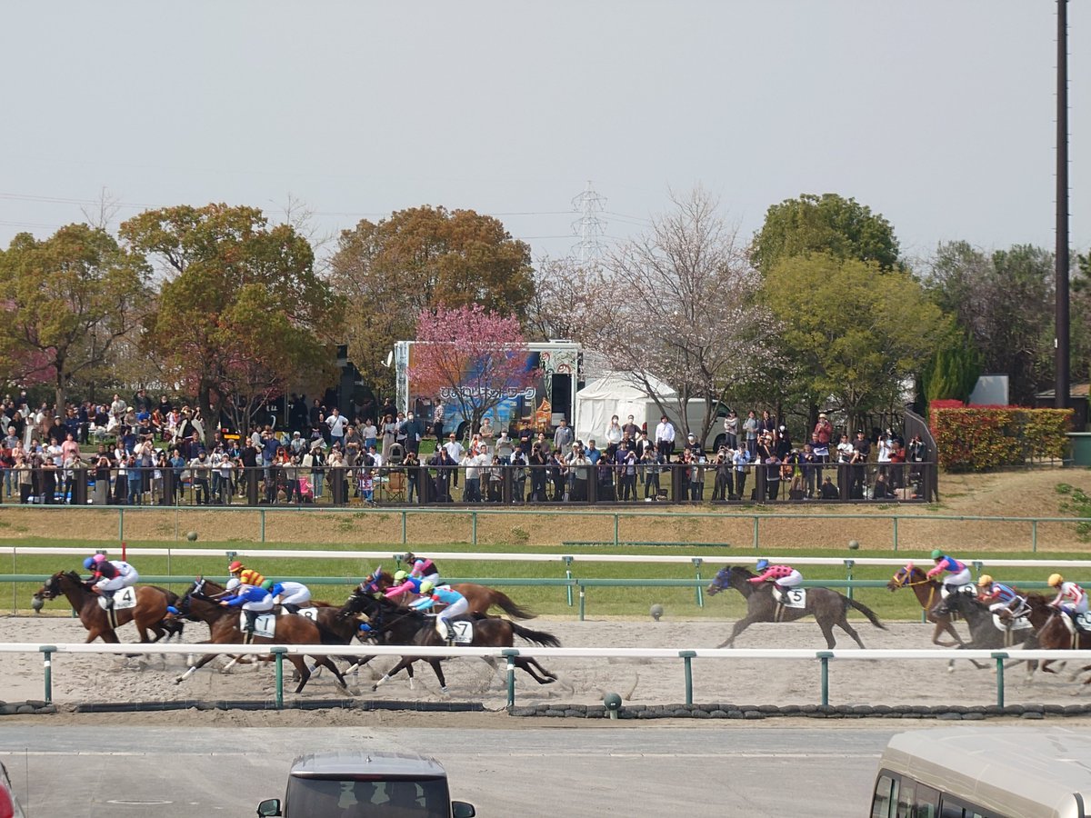 fulraria's tweet photo. 🐴本日のウマラリア
桜咲く陽気の桶狭間での電撃戦。第56回高松宮記念(G1)に行ってきました。
1枚目：勝馬サトノレーヴのレース直後
2枚目：パドックでのサトノレーヴとルメール騎手
3枚目：7Rのラスト400m
4枚目：中京競馬場メインスタンド
サトノレーヴは同レース2連覇。おめでとうございます！🐴 https://t.co/8juBI5Mn5Z