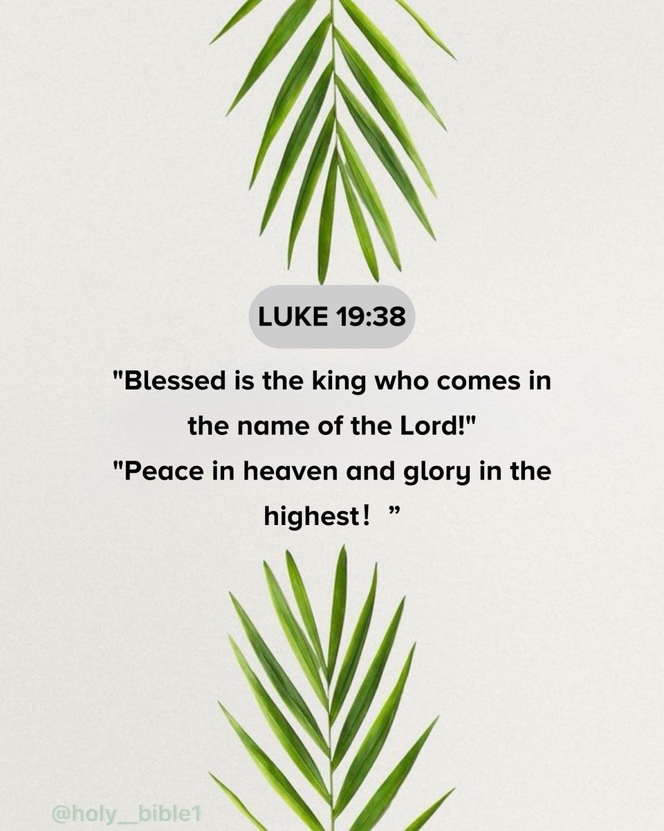 🇺🇸 Oh Hey It's Me ❤🤍💙 tweet media