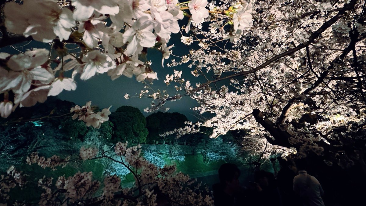 OnUMA⁸ 🍳 tweet media