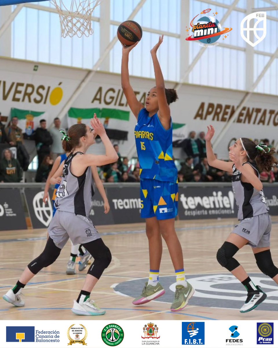 C.B.GUANCHA tweet media